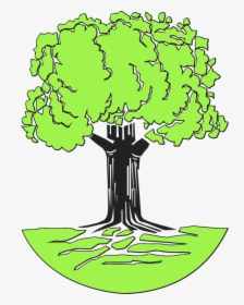 Detail Pohon Beringin Vector Png Nomer 7