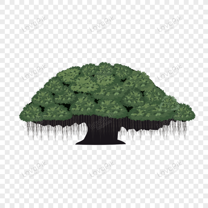 Detail Pohon Beringin Vector Png Nomer 8