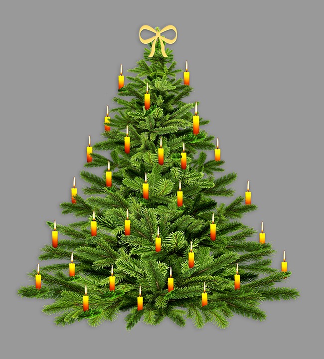 Detail Pohon Cemara Natal Nomer 34