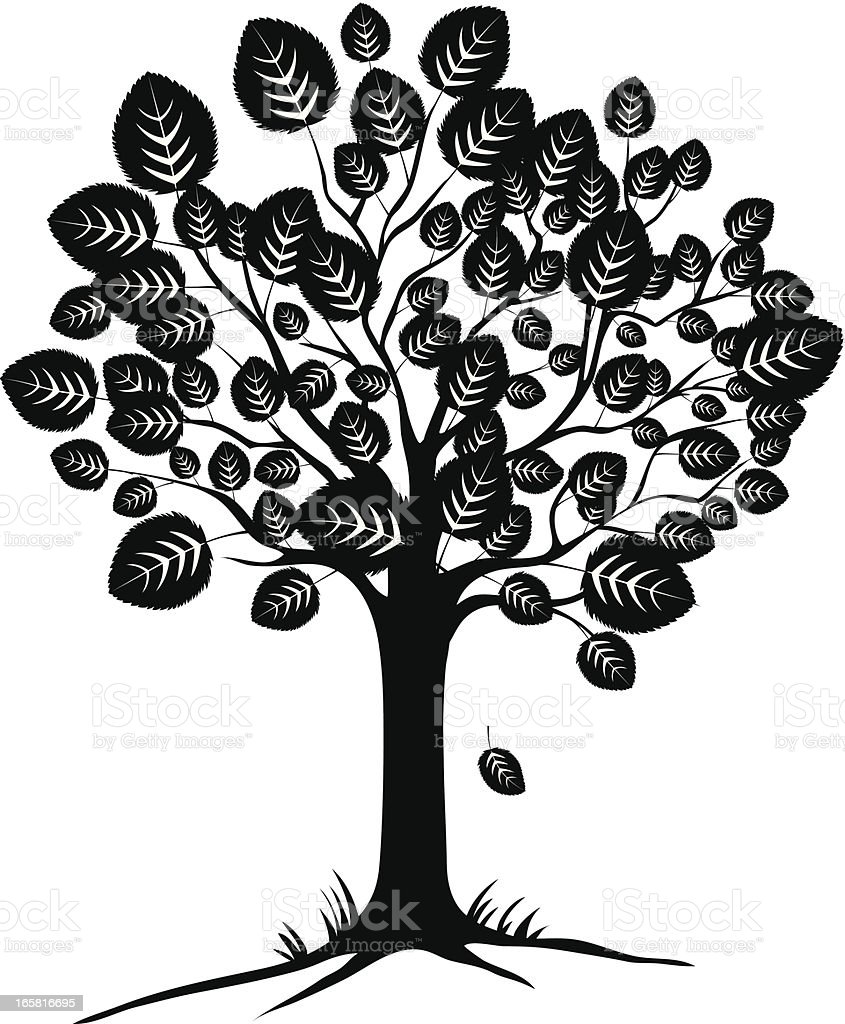 Detail Pohon Clipart Black And White Nomer 32