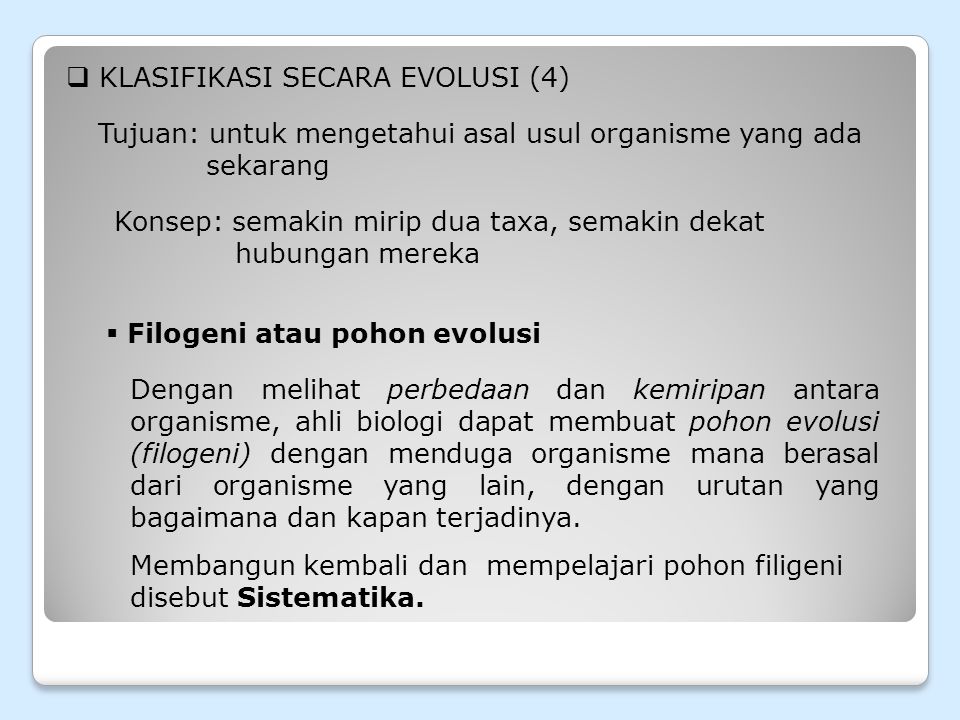 Detail Pohon Filogeni Platyhelminthes Gambar Nomer 14