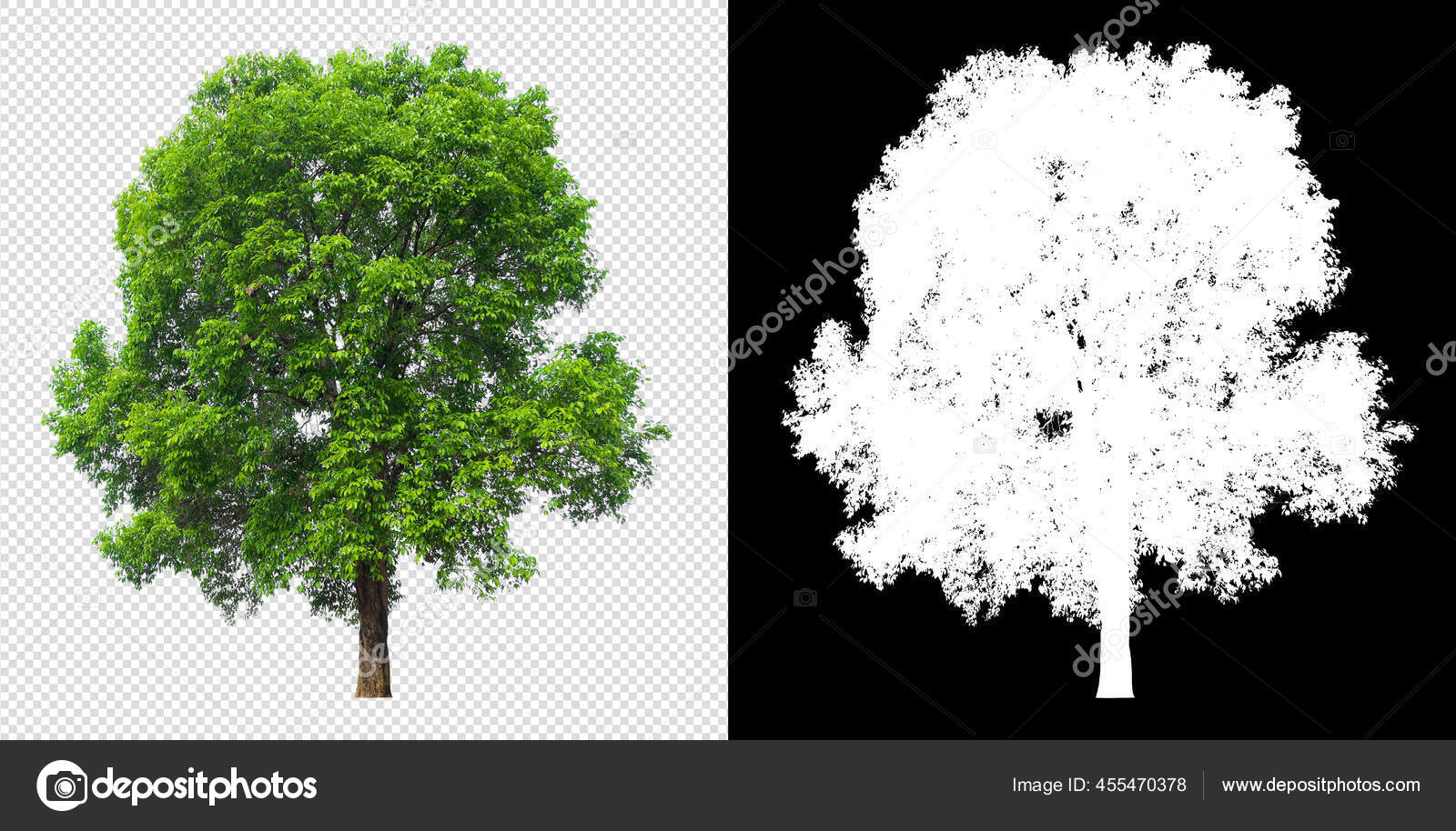 Detail Pohon Gambar Transparan Buat Background Nomer 23
