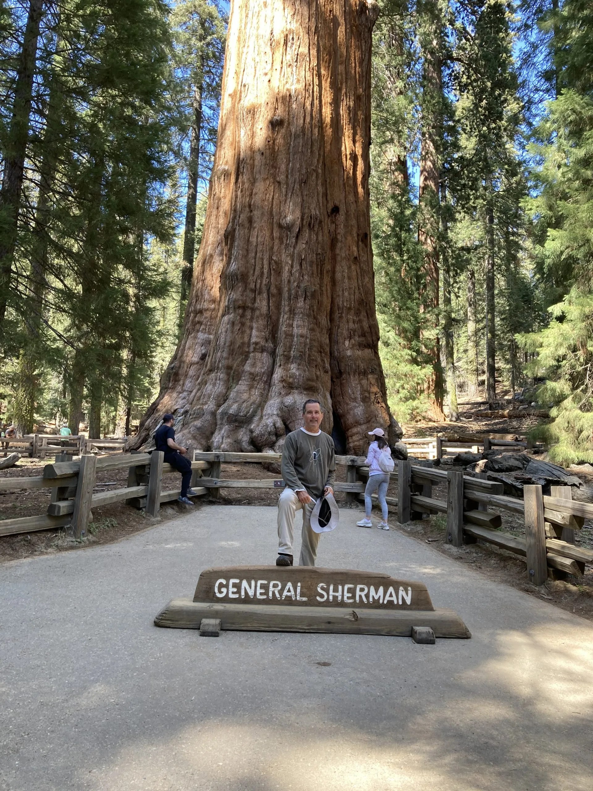 Detail Pohon General Sherman Nomer 34