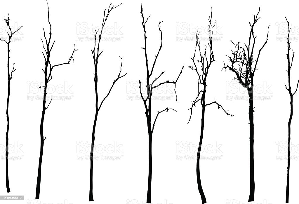 Detail Pohon Hitam Putih Vector Nomer 46