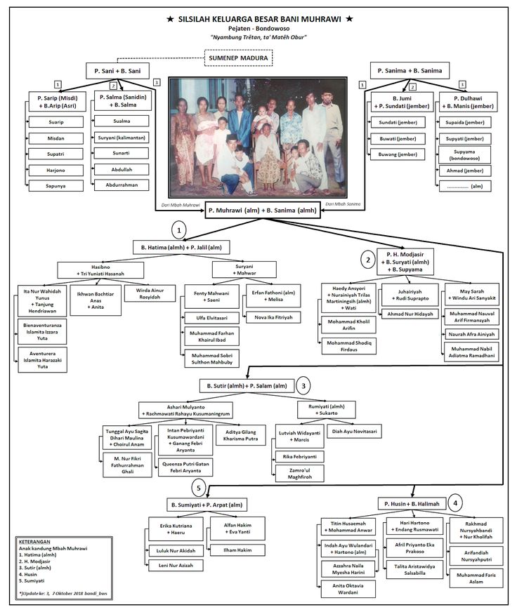 Detail Pohon Keluarga Besar Nomer 14