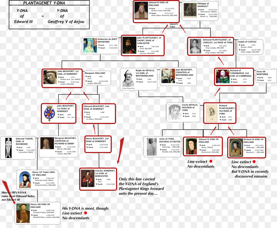 Detail Pohon Keluarga Kerajaan Inggris Nomer 15