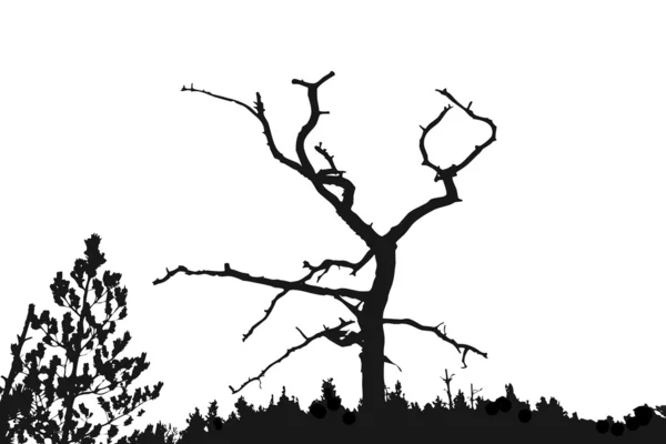 Detail Pohon Kering Vector Nomer 33