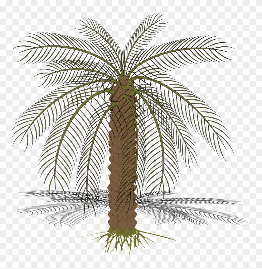 Pohon Kurma Vector - KibrisPDR