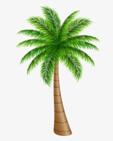 Detail Pohon Kurma Vector Nomer 17