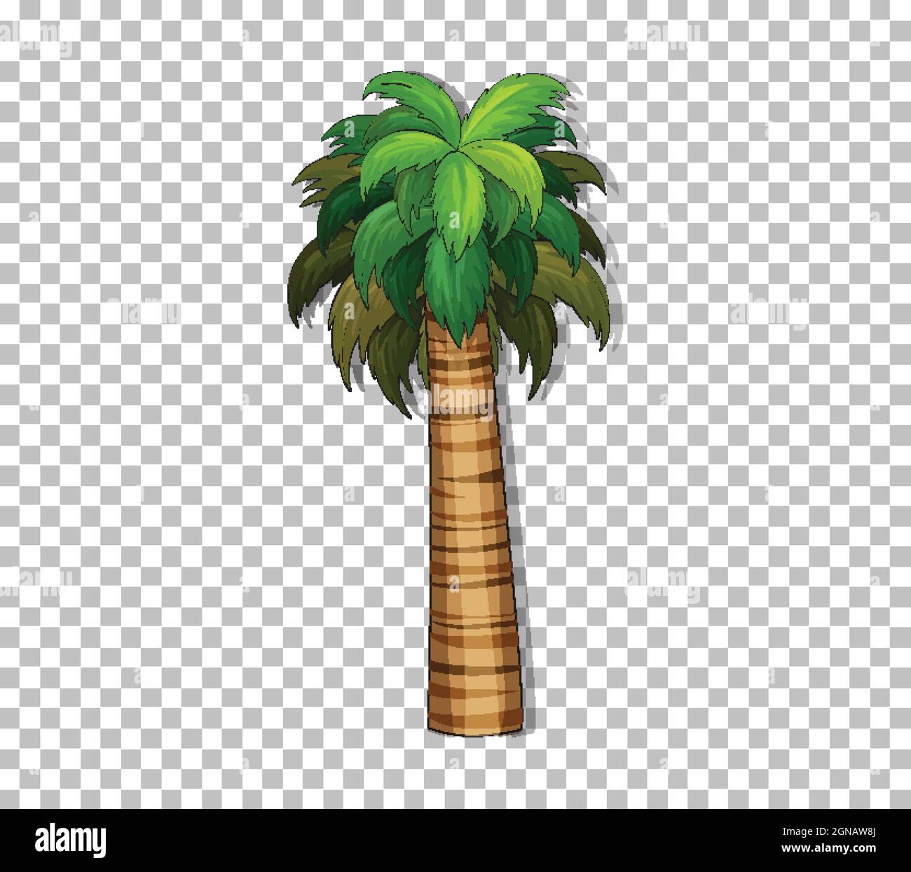 Detail Pohon Kurma Vector Nomer 38