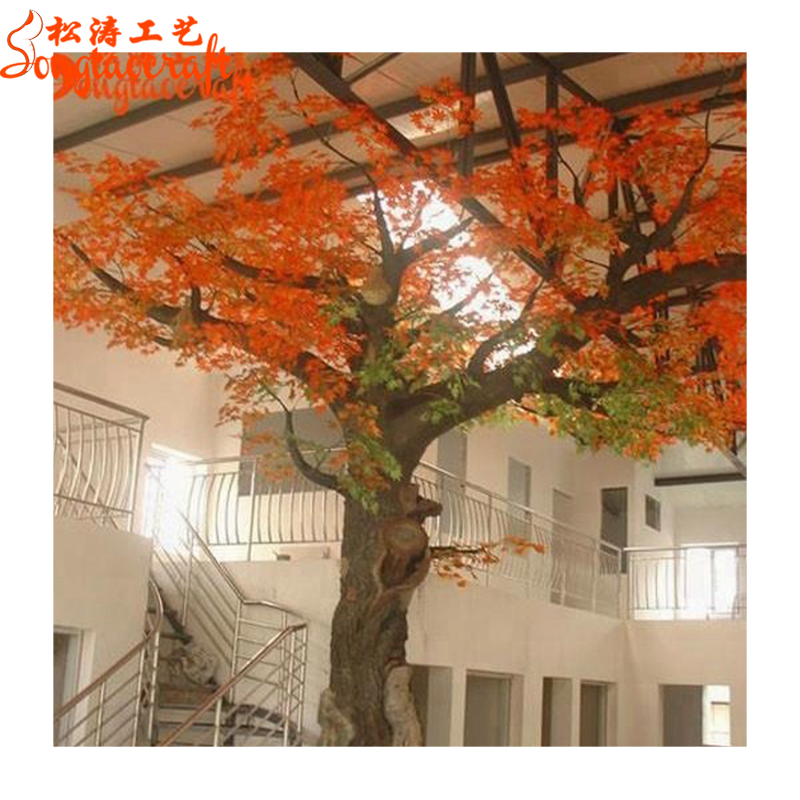Detail Pohon Maple Jepang Nomer 39