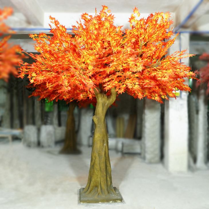Detail Pohon Maple Jepang Nomer 47