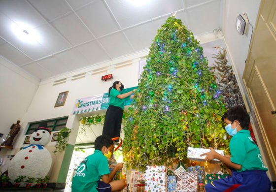 Detail Pohon Natal 4 Meter Nomer 5