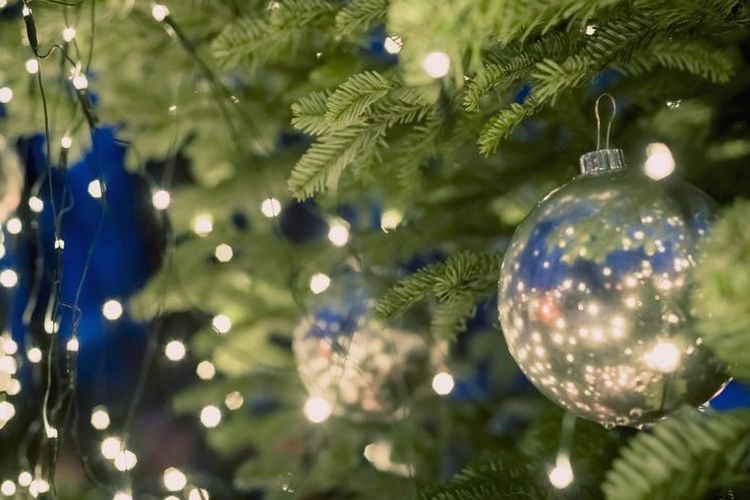Pohon Natal Lampu - KibrisPDR