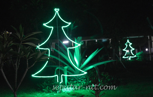 Detail Pohon Natal Lampu Nomer 51
