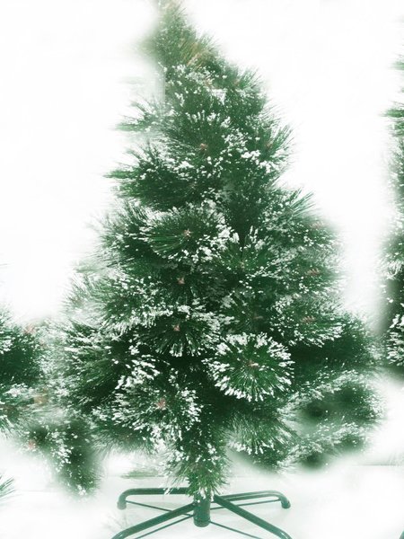 Detail Pohon Natal Salju Nomer 4
