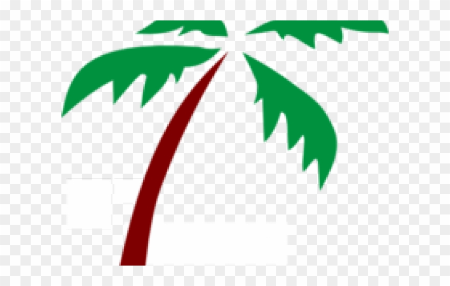 Detail Pohon Palm Png Nomer 20