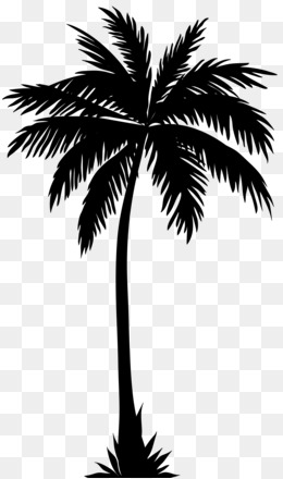 Detail Pohon Palm Png Nomer 42