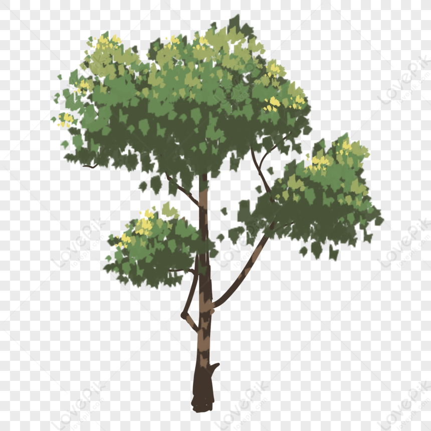 Detail Pohon Png Photoshop Nomer 41