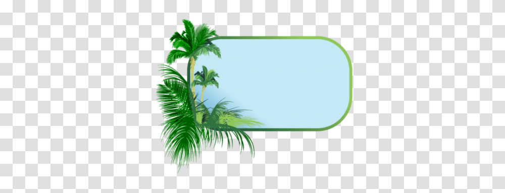 Detail Pohon Png Tampak Atas Nomer 37