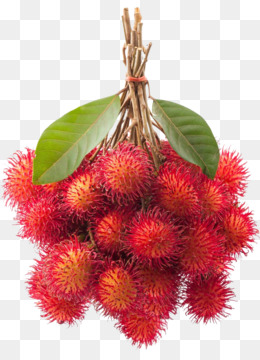 Pohon Rambutan Png - KibrisPDR