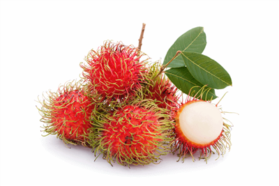 Detail Pohon Rambutan Png Nomer 7