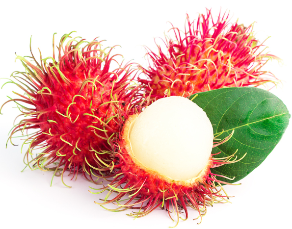 Detail Pohon Rambutan Png Nomer 13