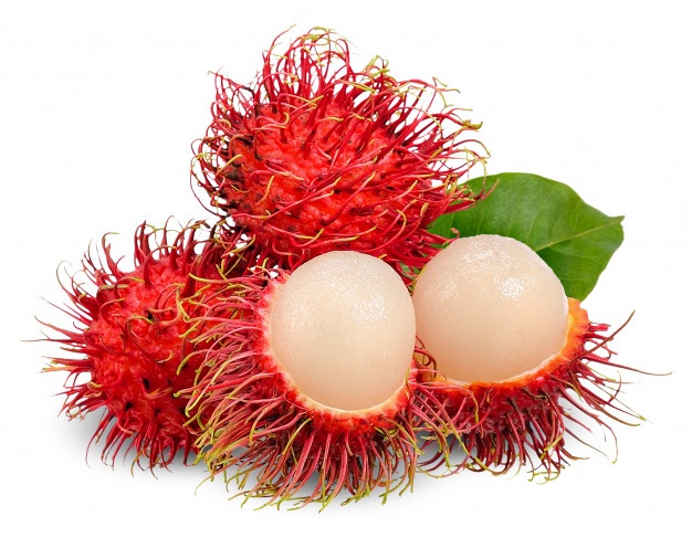 Detail Pohon Rambutan Png Nomer 17