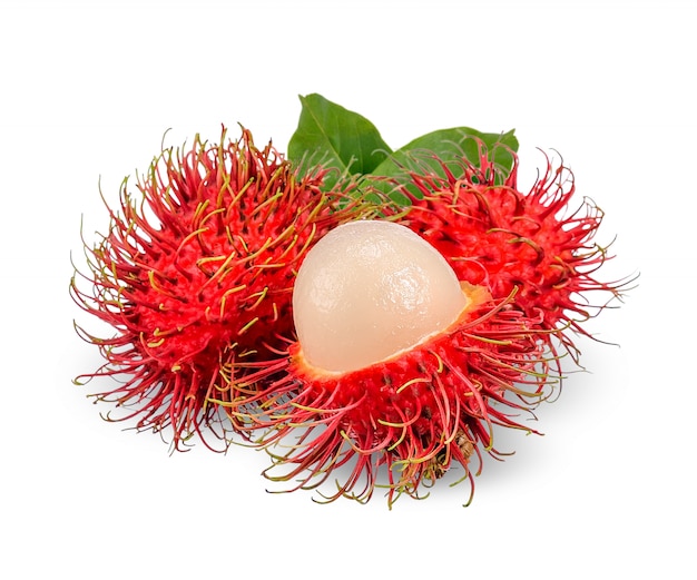 Detail Pohon Rambutan Png Nomer 29