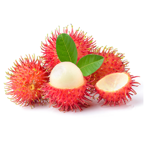 Detail Pohon Rambutan Png Nomer 31