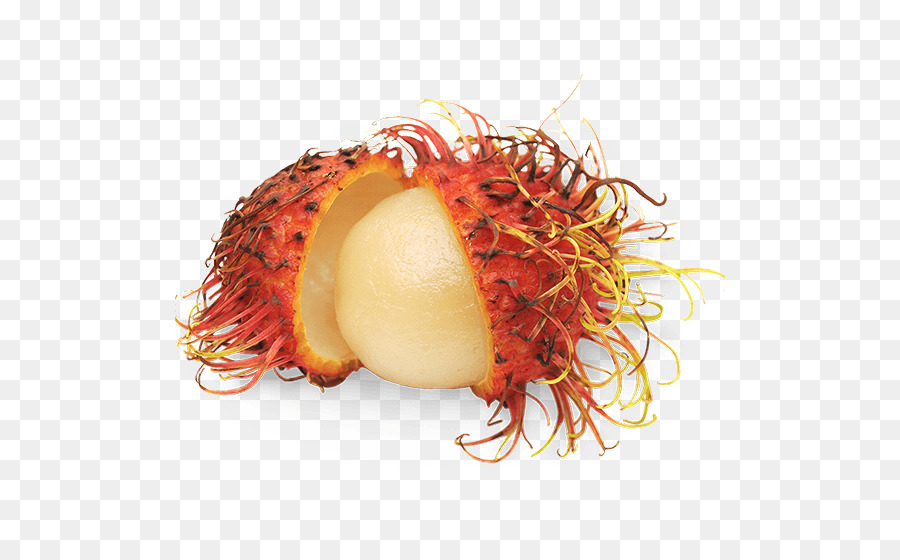 Detail Pohon Rambutan Png Nomer 32