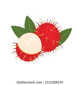 Detail Pohon Rambutan Png Nomer 46