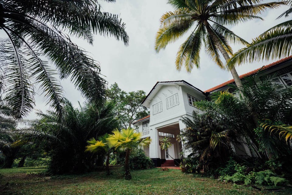 Detail Pohon Rindang Depan Rumah Nomer 48