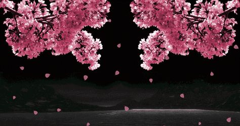 Detail Pohon Sakura Animasi Nomer 21