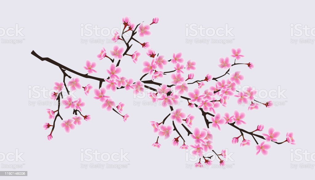 Detail Pohon Sakura Animasi Nomer 48