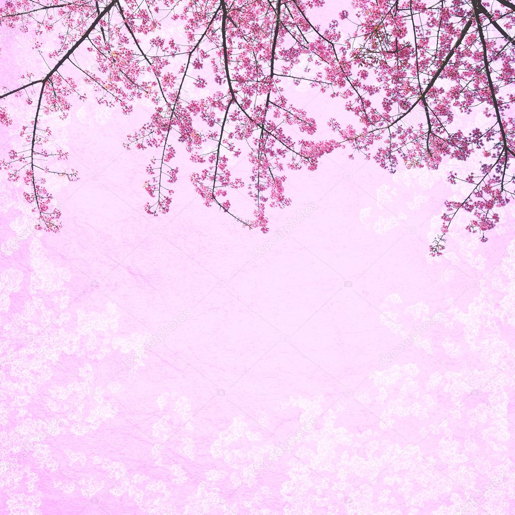 Detail Pohon Sakura Animasi Nomer 8