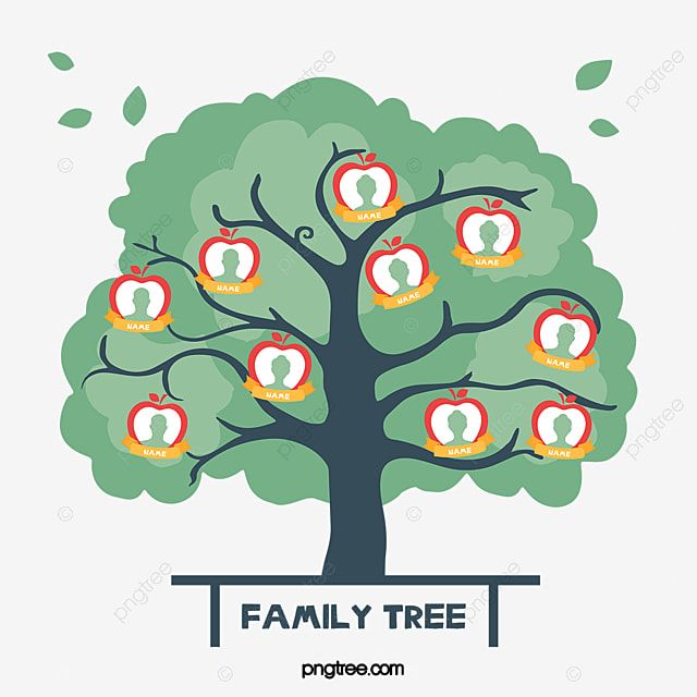 Detail Pohon Silsilah Keluarga Nomer 11