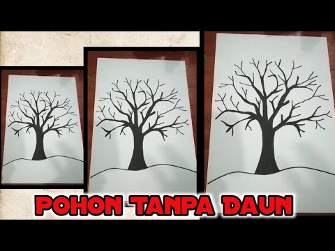 Detail Pohon Tanpa Daun Nomer 16