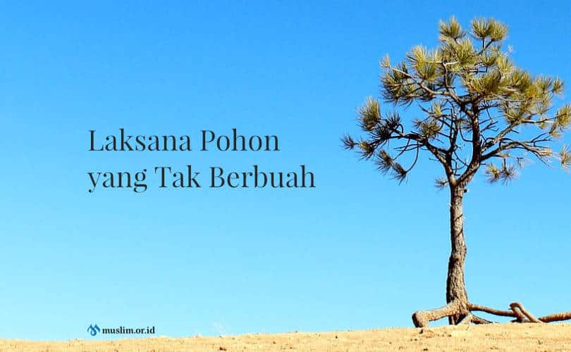 Pohon Yang Tidak Berbuah - KibrisPDR