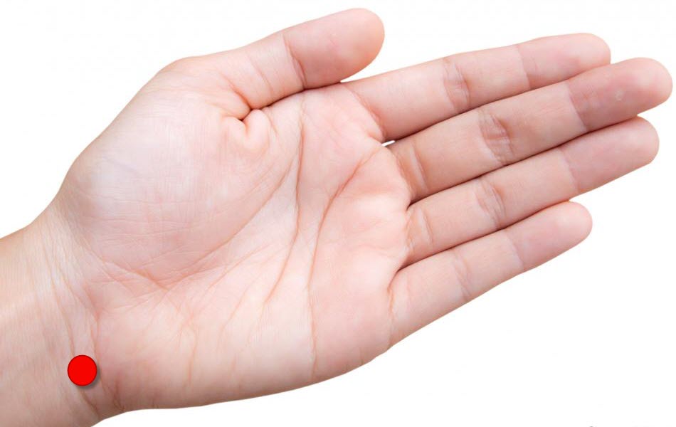 Detail Point Hands Nomer 33