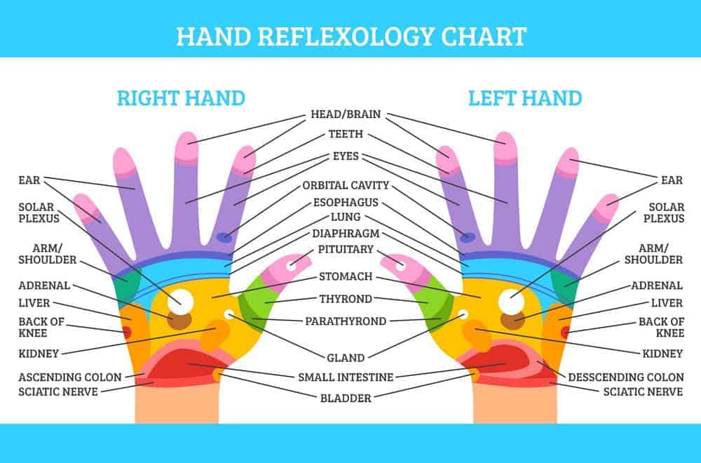 Detail Point Hands Nomer 34