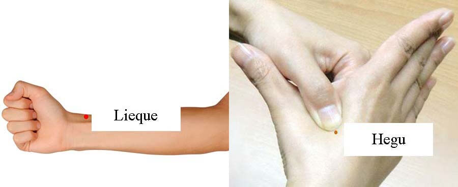 Detail Point Hands Nomer 46