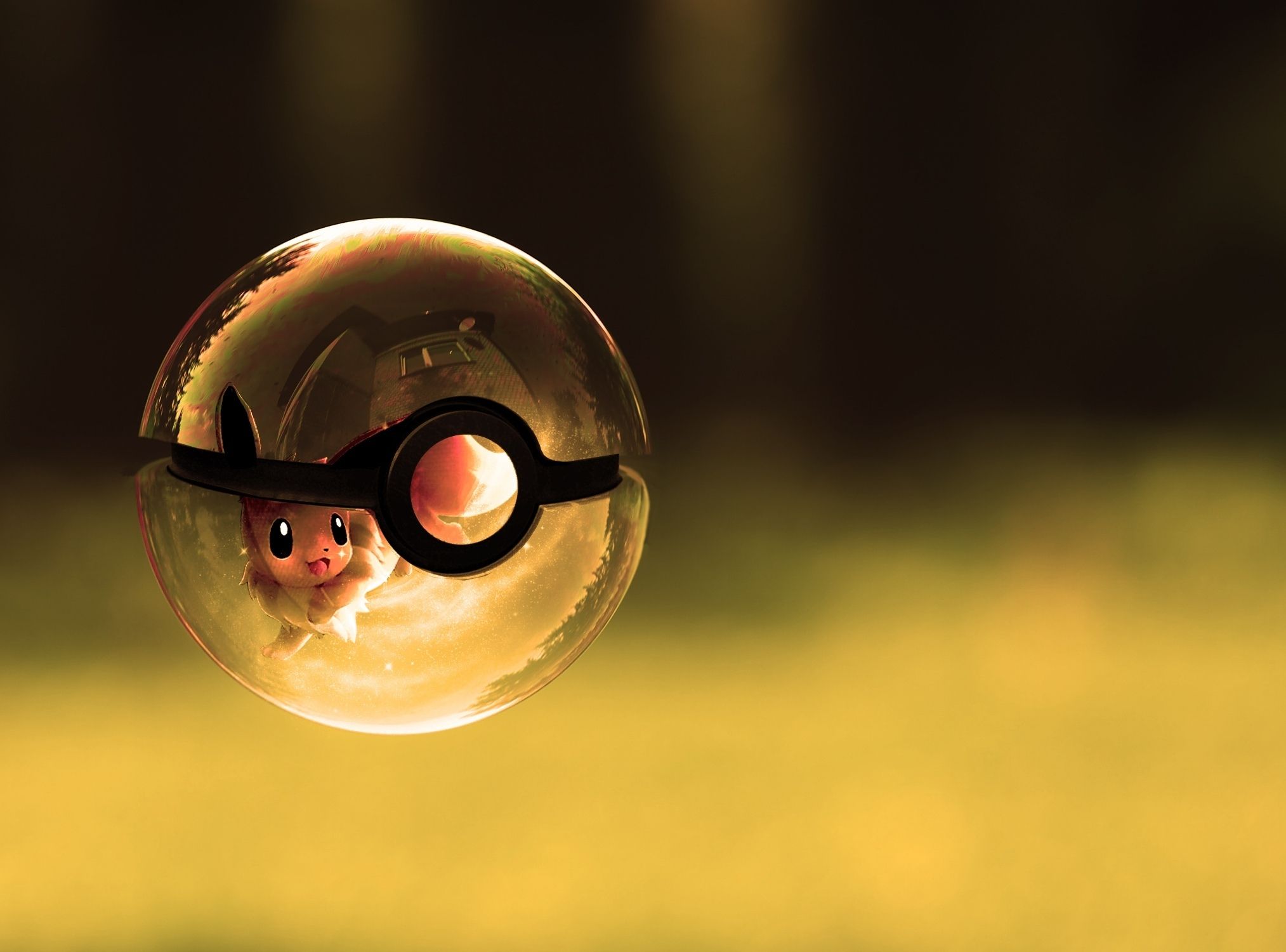 Detail Pokeball Bowling Ball Nomer 55