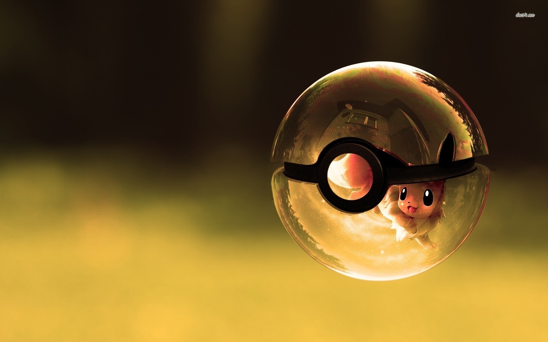 Detail Pokeball Hd Wallpaper Nomer 21