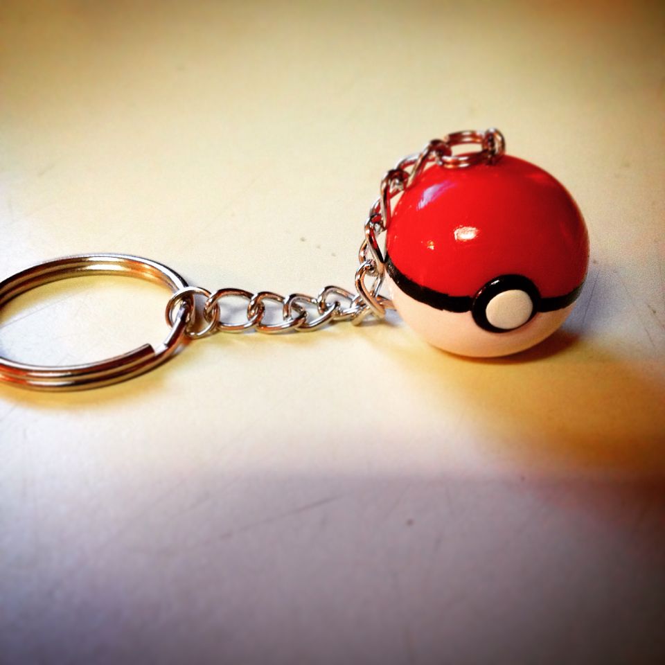 Detail Pokeball Key Chain Nomer 49