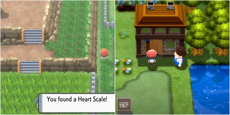 Detail Pokemon Alpha Sapphire Heart Scale Nomer 40