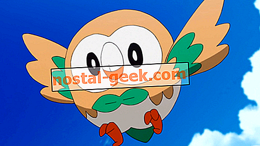 Detail Pokemon Burung Hantu Nomer 19