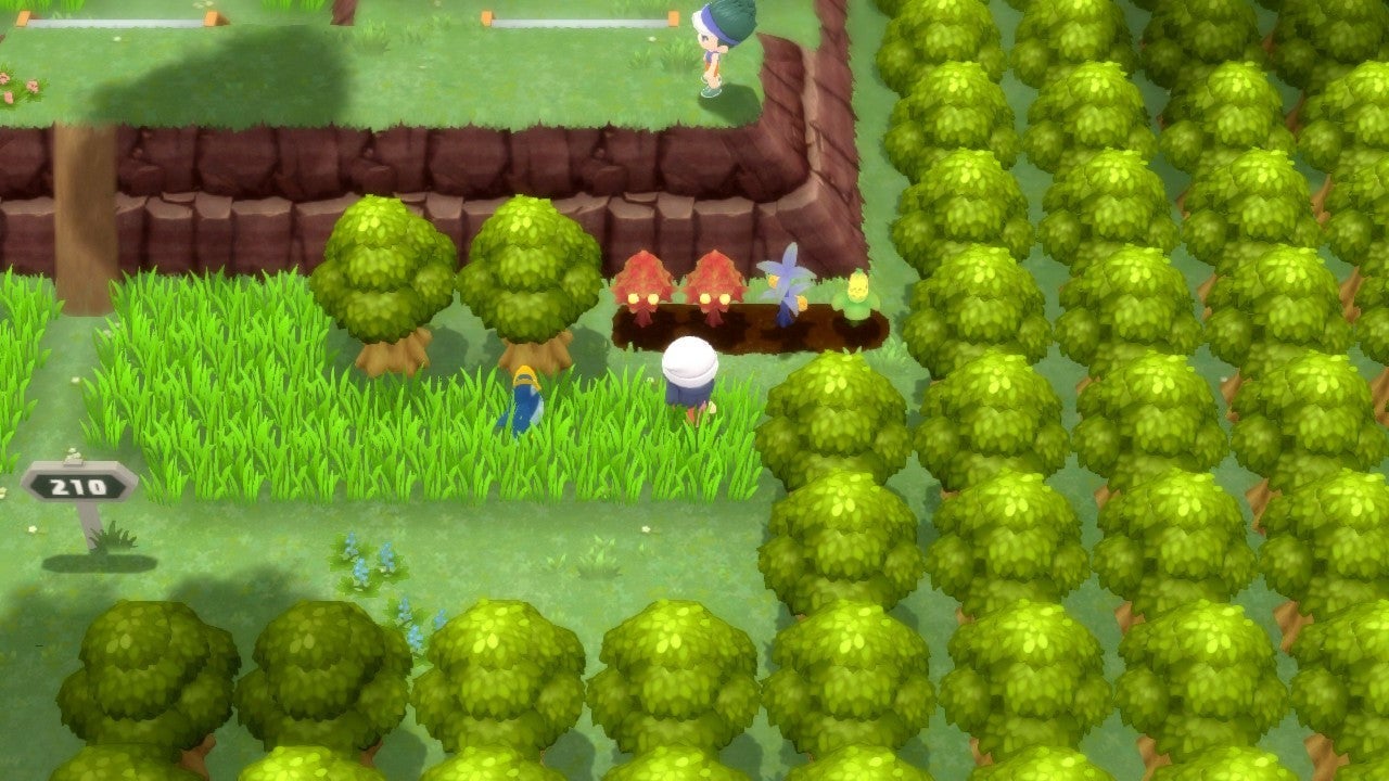 Detail Pokemon Diamond Route 201 Nomer 51