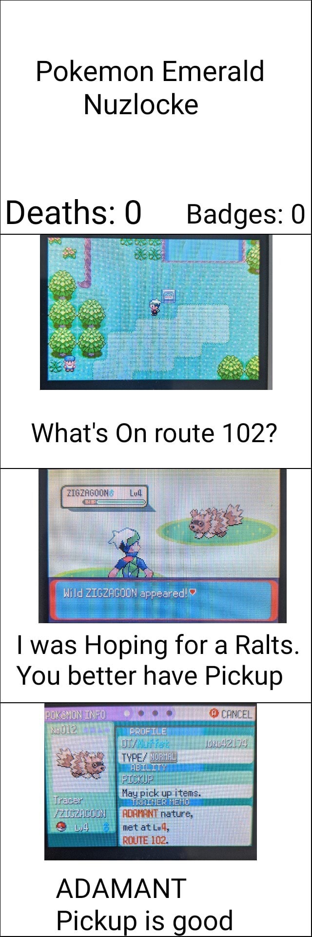 Detail Pokemon Emerald Route 102 Nomer 34