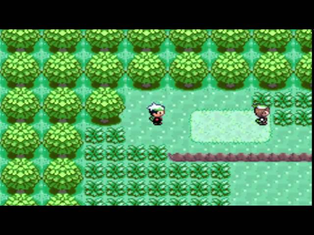 Detail Pokemon Emerald Route 103 Nomer 12